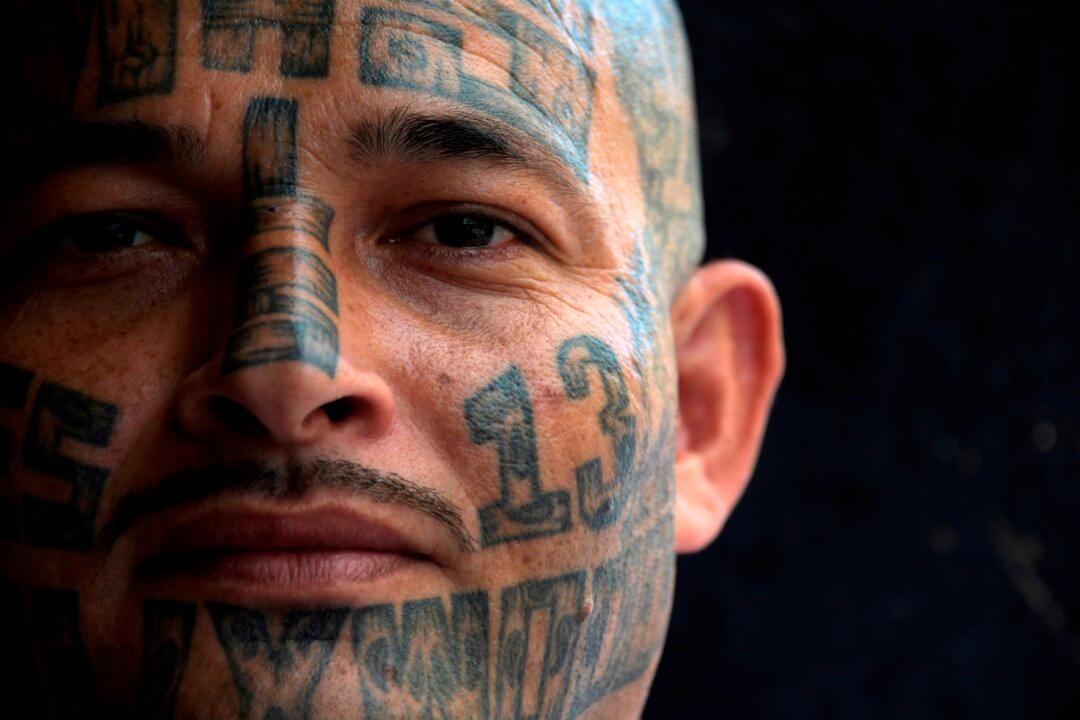 74 Percent of MS-13 Gang Members Prosecuted Since 2016 in US Illegally