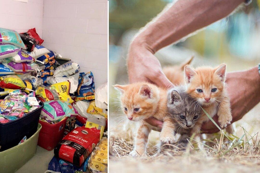 Police Department Collects Cat Food in Lieu of Parking Ticket Fines to Help Animal Shelter
