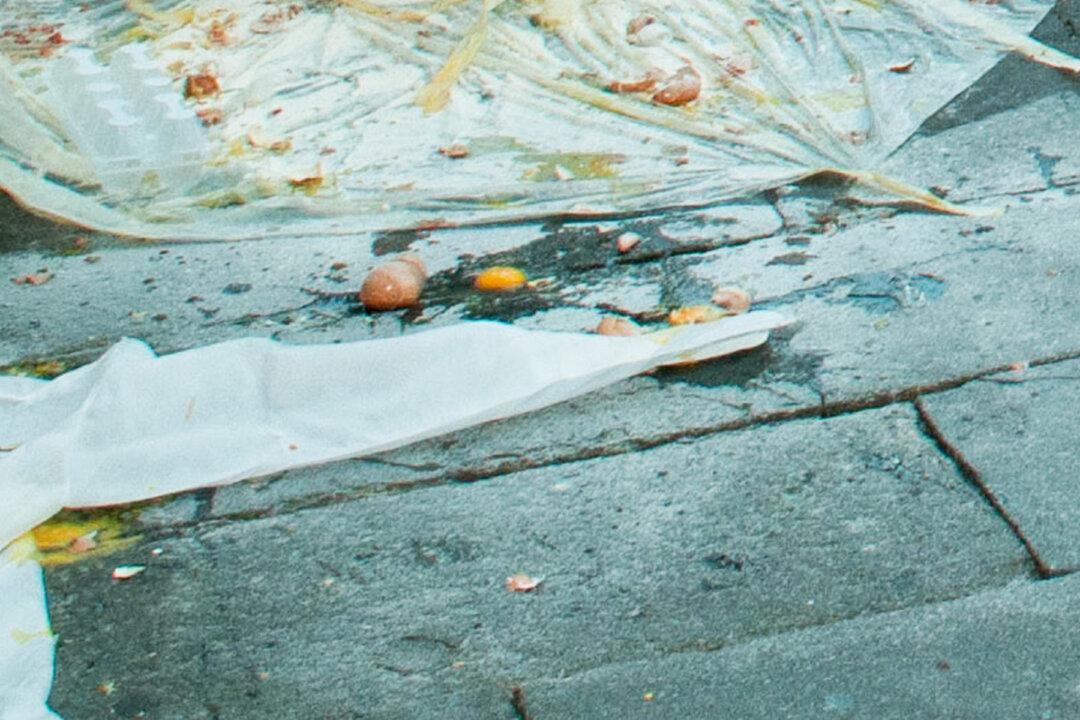 Teens Attack Disabled Lady With Flour and Eggs Before Posing for Photo, Outraging People