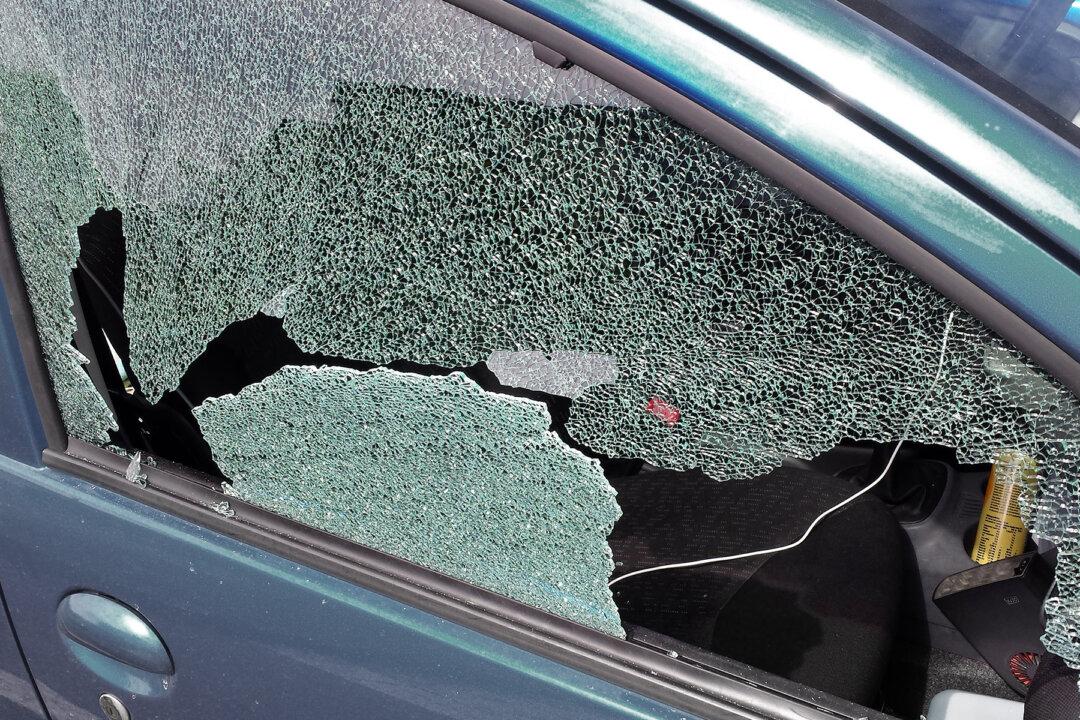 Cops Smash Window to Save Dog Trapped Inside Boiling-Hot Car, but Owners Aren’t Happy