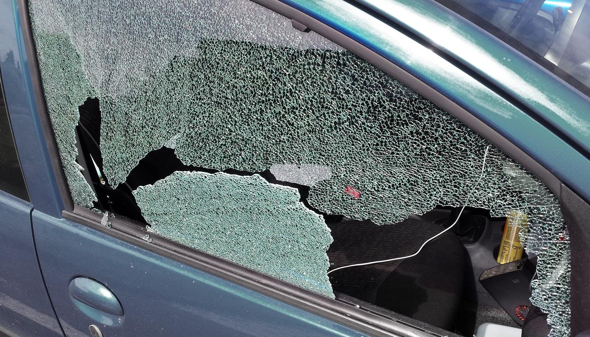 Cops Smash Window to Save Dog Trapped Inside Boiling-Hot Car, but Owners Aren’t Happy