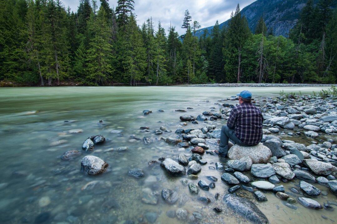 Meditations on the Wisdom of Inaction