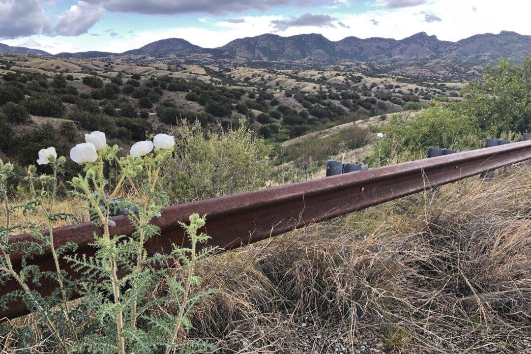 Arizona Copper Mine Project Blocked by Judge After Decade of Collecting Permits