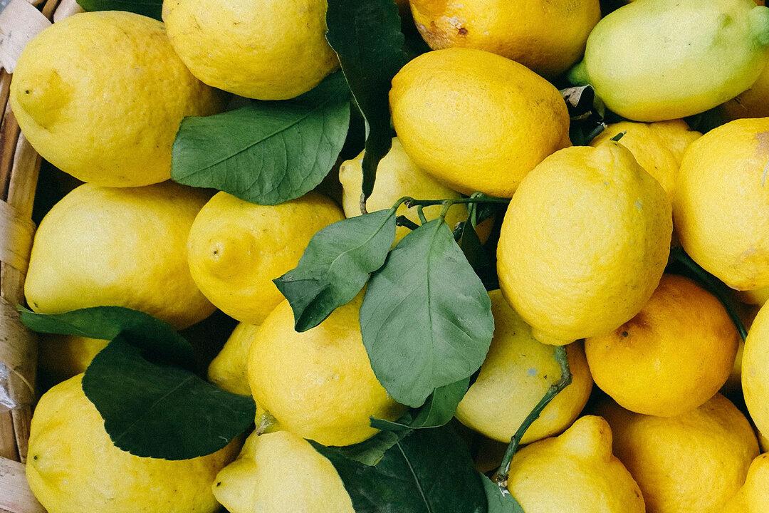 Young Girl’s Lemonade Stand Shut Down by Local Authorities