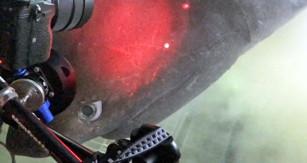 Deep Sea Video Shows Up Close Encounter With Shark Weighing Over a Ton