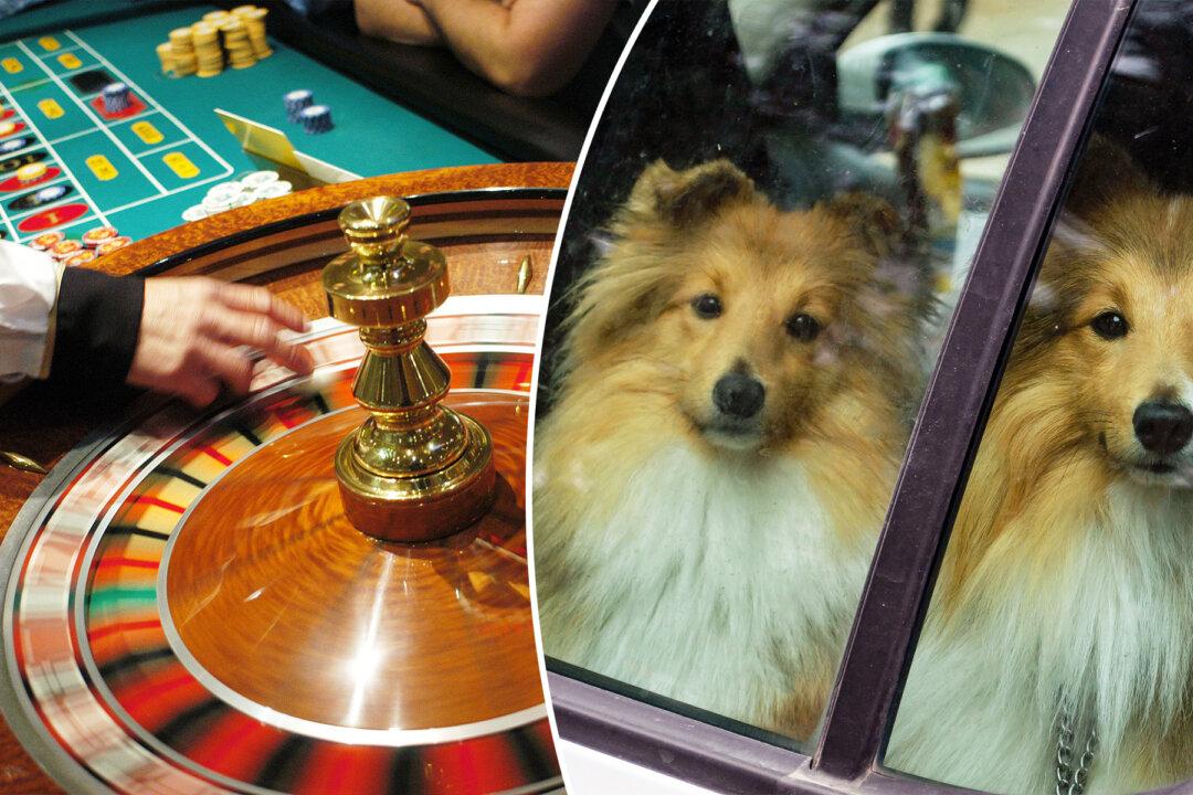 Woman Gambled for 10 Hours at Casino, Locking 3 Dogs in Hot Car for ‘Torture Session’