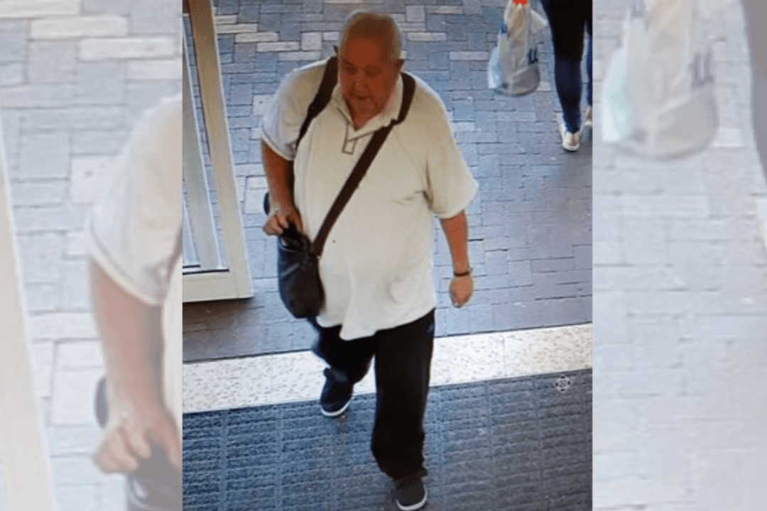 Schizophrenic Man Who Stabbed Son-in-Law to Death Escapes From Mental Hospital