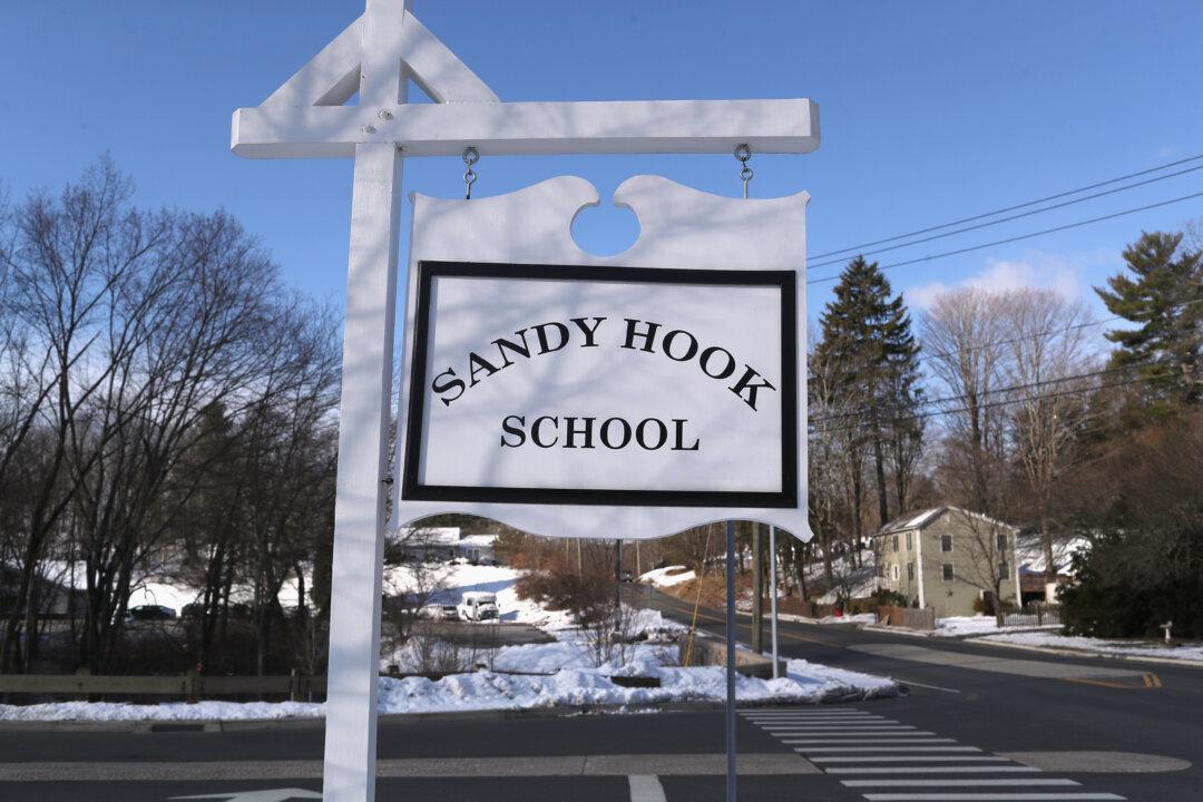 Firearms Maker Challenges Suit by Sandy Hook Victims