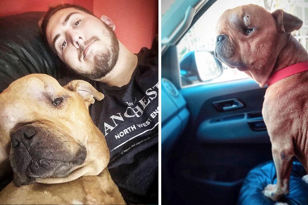 Man Adopts Dog With Massive Tumor on His Head and Offers ‘Unconditional Love’ in His Last Days