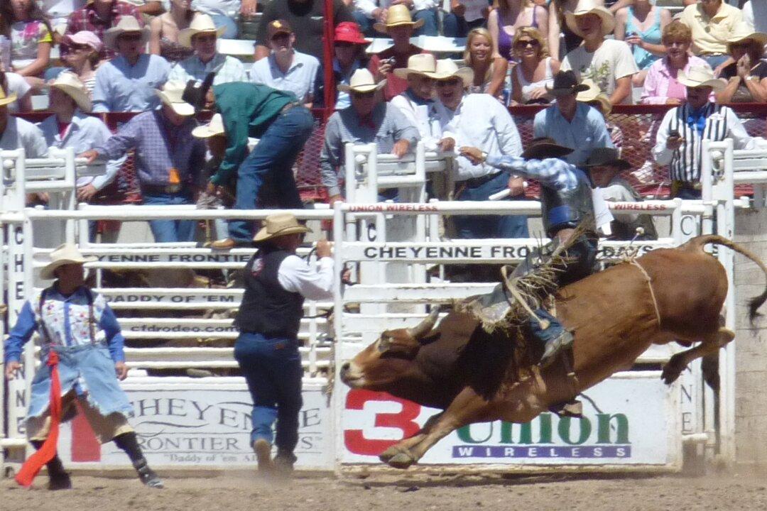 A Front-Row Seat to the American West