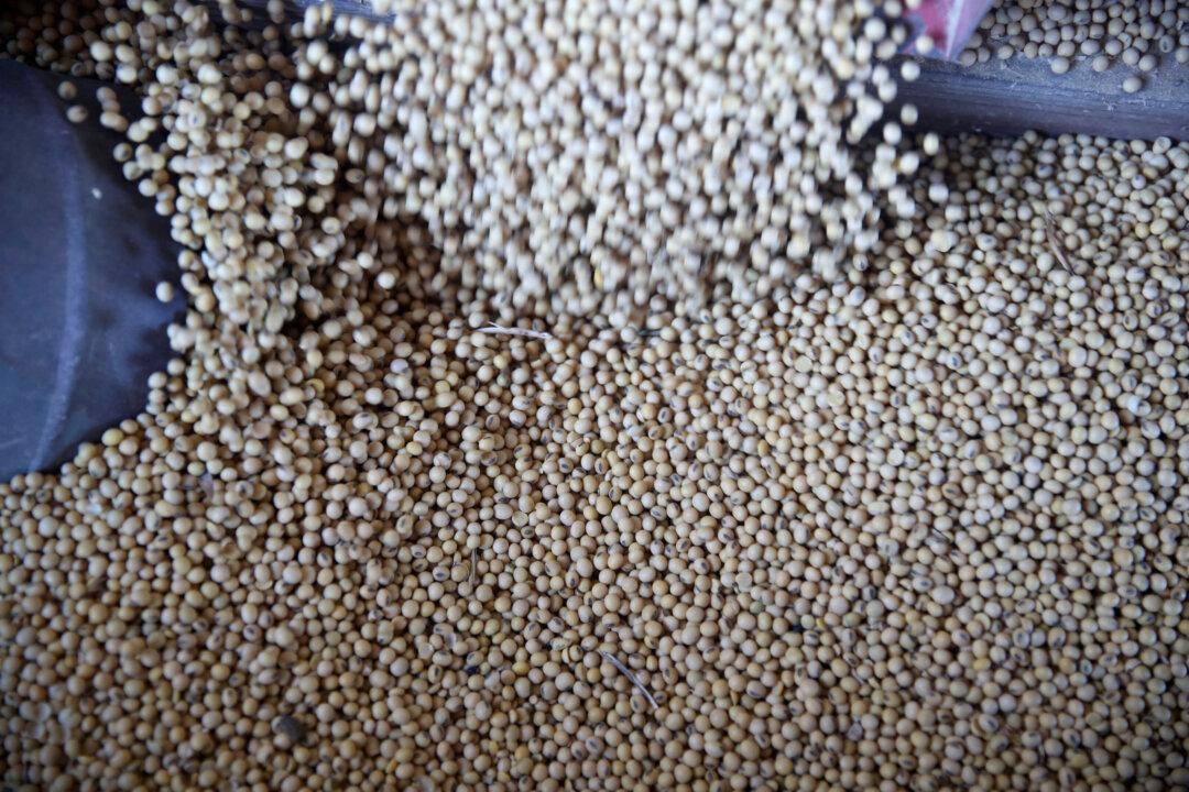 China Buys US Soybeans After Declaring Ban on American Farm Goods
