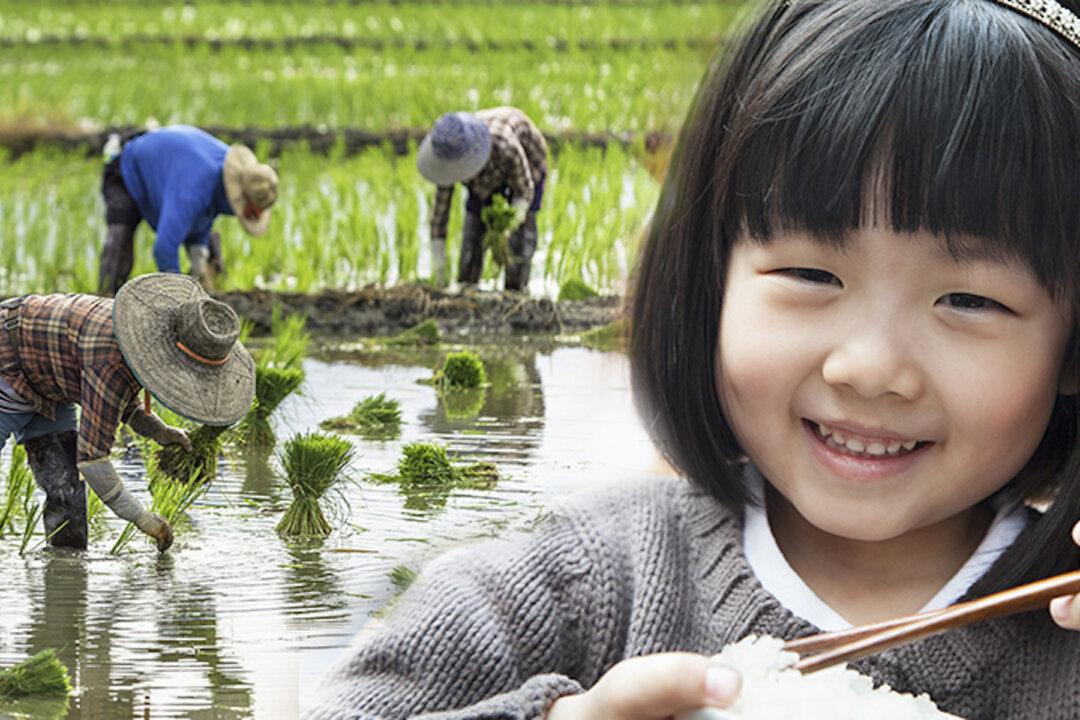 Words of Wisdom: ‘Talking’ Rice Grain Convinces Little Girl Not to Waste Food