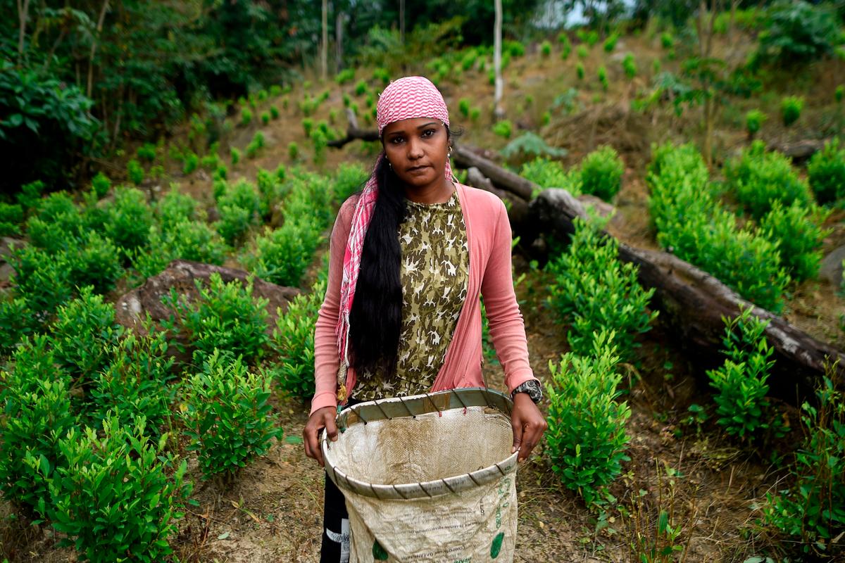 Colombia’s Warring Gangs Target Migrants at Venezuelan Border; Peace Process Stutters