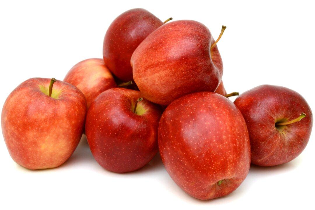 Organic Apples Host Beneficial Bacteria