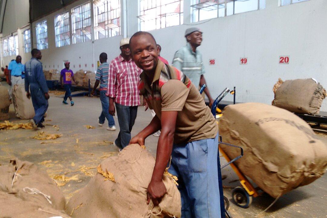 China Pours Millions of Dollars Into Zimbabwe’s Farming Industry as Experts Fret
