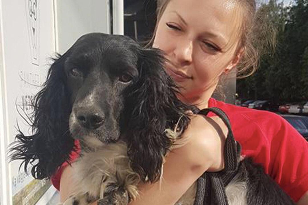 Woman Shocked to See Scared Dog Near River With 13lb Anchor Tied to His Neck