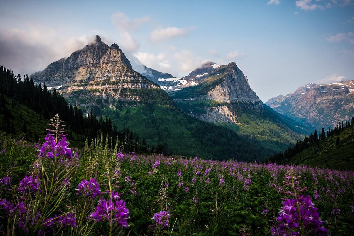 14-Year-Old Girl Killed in Rockfall on Glacier National Park Road Identified