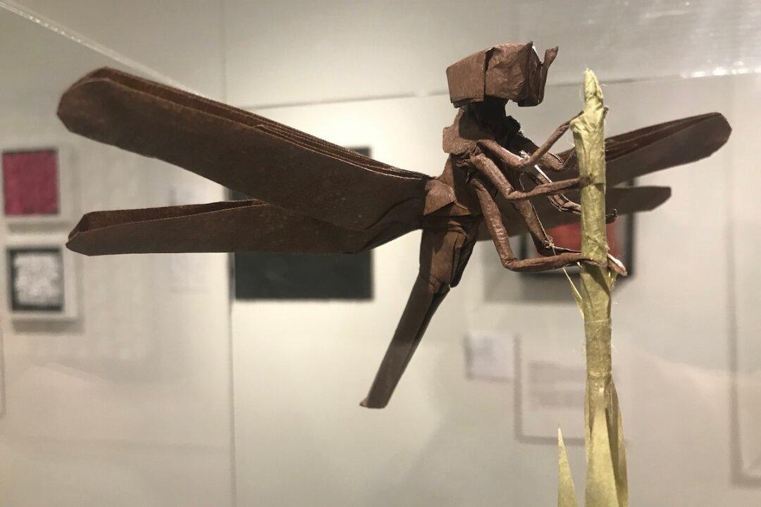 Origami: A Relationship Between Mathematics and Art