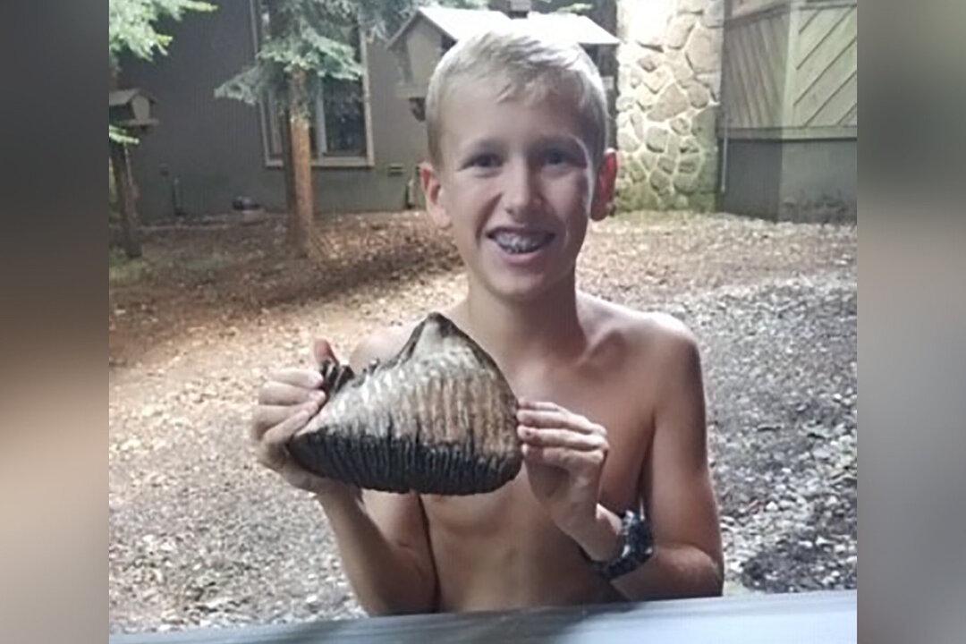 12-Year-Old Discovers Rare Tooth from Woolly Mammoth that Disappeared 4,000 Years Ago