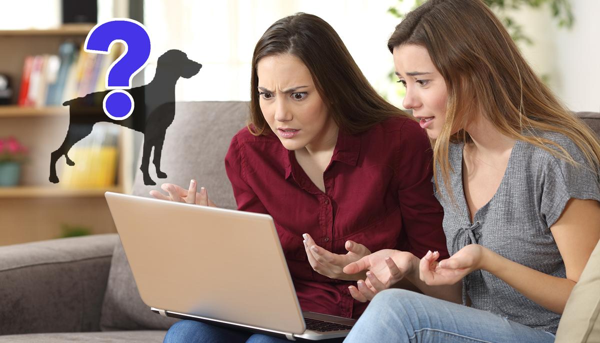 Mom Shares 2nd-Grader’s Math Problem Online, and Hardly Anyone Can Solve It