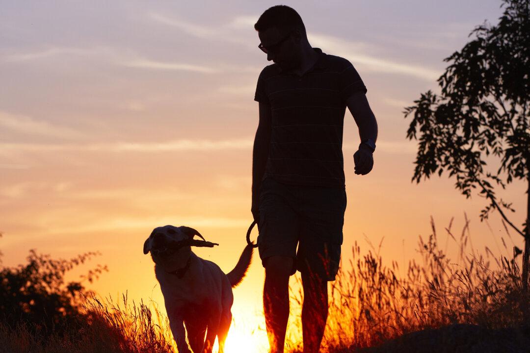 Truck Driver Covers 2,800 Cross-Country Miles to Save Pit Bull From Being Euthanized