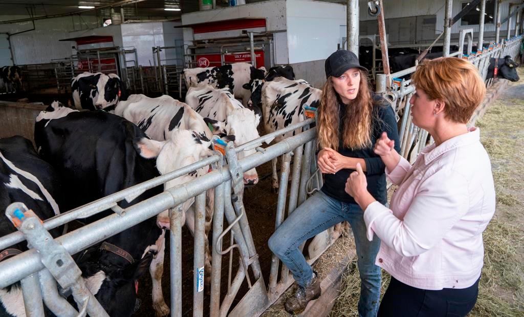 Ottawa Announces $1.75B to Compensate Dairy Farmers for Impact of Trade Deals