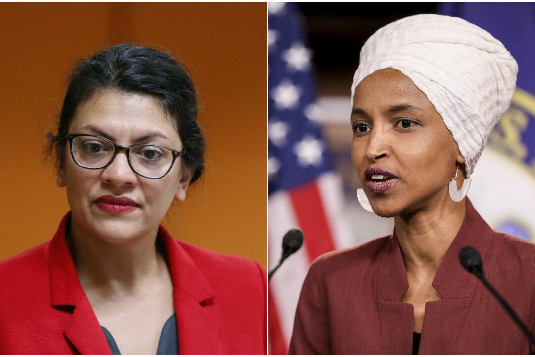 Israel Has Right to Deny Entry to Omar, Tlaib Who Support Group That Seeks to Destroy Country: Former Israeli Ambassador to US