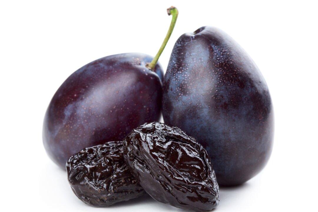 Dried Plums Slow Bone Loss in Aging