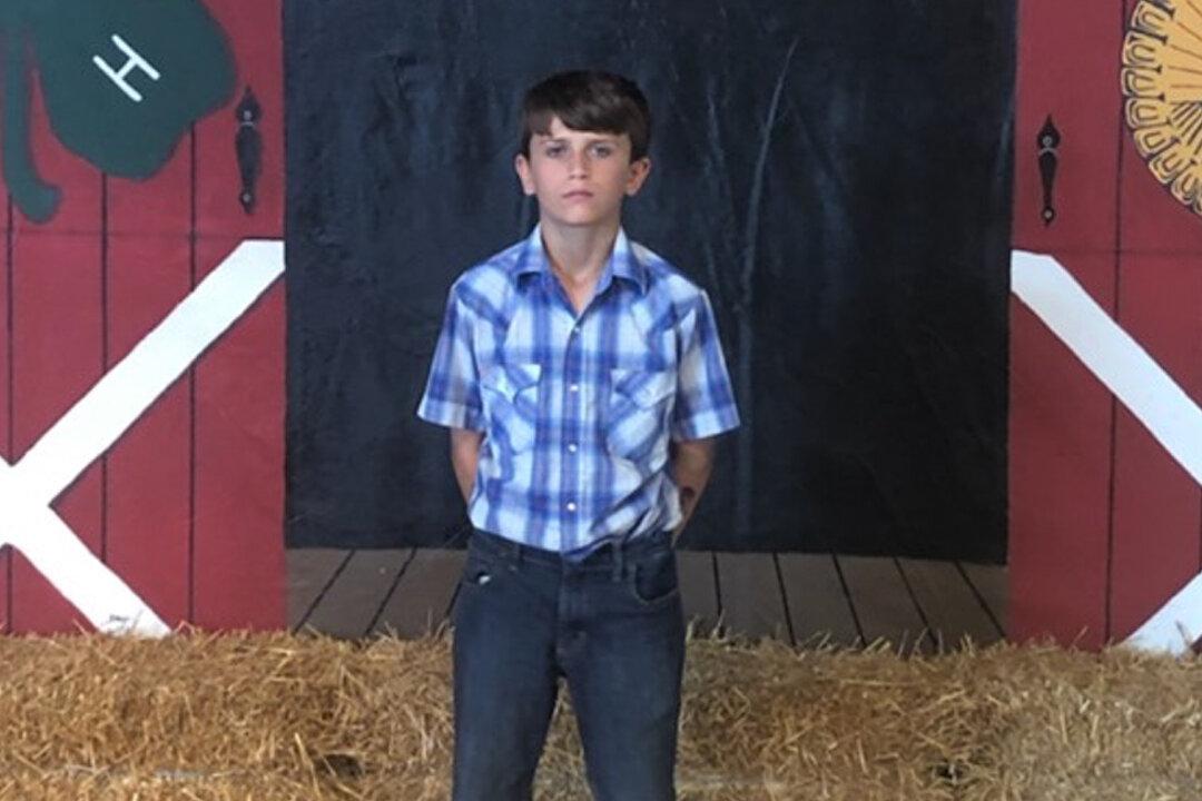 12-Year-Old Boy Raises $15,000 at County Fair’s Pig Auction, Then Donates It to St. Jude
