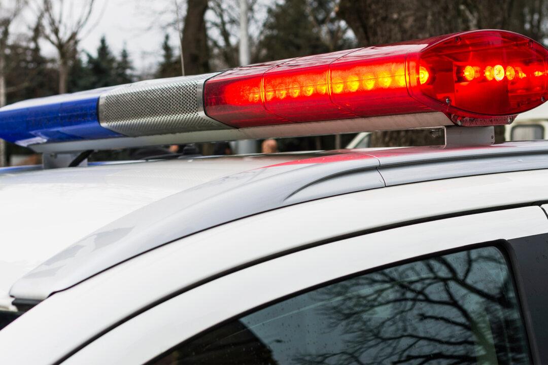 Mama Goose Keeps Pecking Cop’s Patrol Car Only to Lead Him to Her Trapped Baby