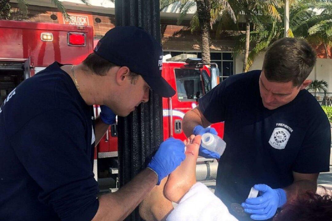 Shark Bites Boy Swimming at Florida Beach, Boy Rushed to Hospital