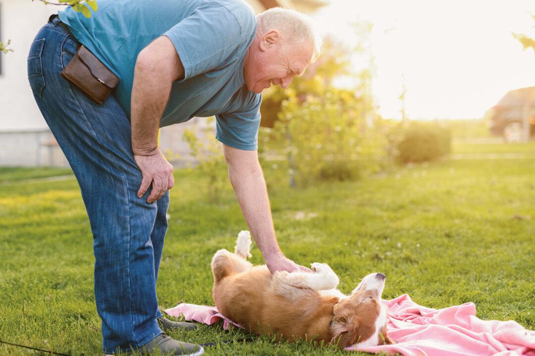 Bomb-Sniffing Dog Reunites With Iraq War Veteran After Almost 2 Years of Separation