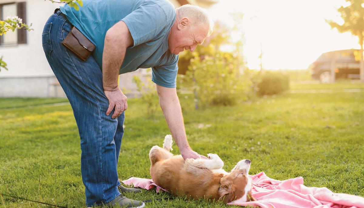 Bomb-Sniffing Dog Reunites With Iraq War Veteran After Almost 2 Years of Separation