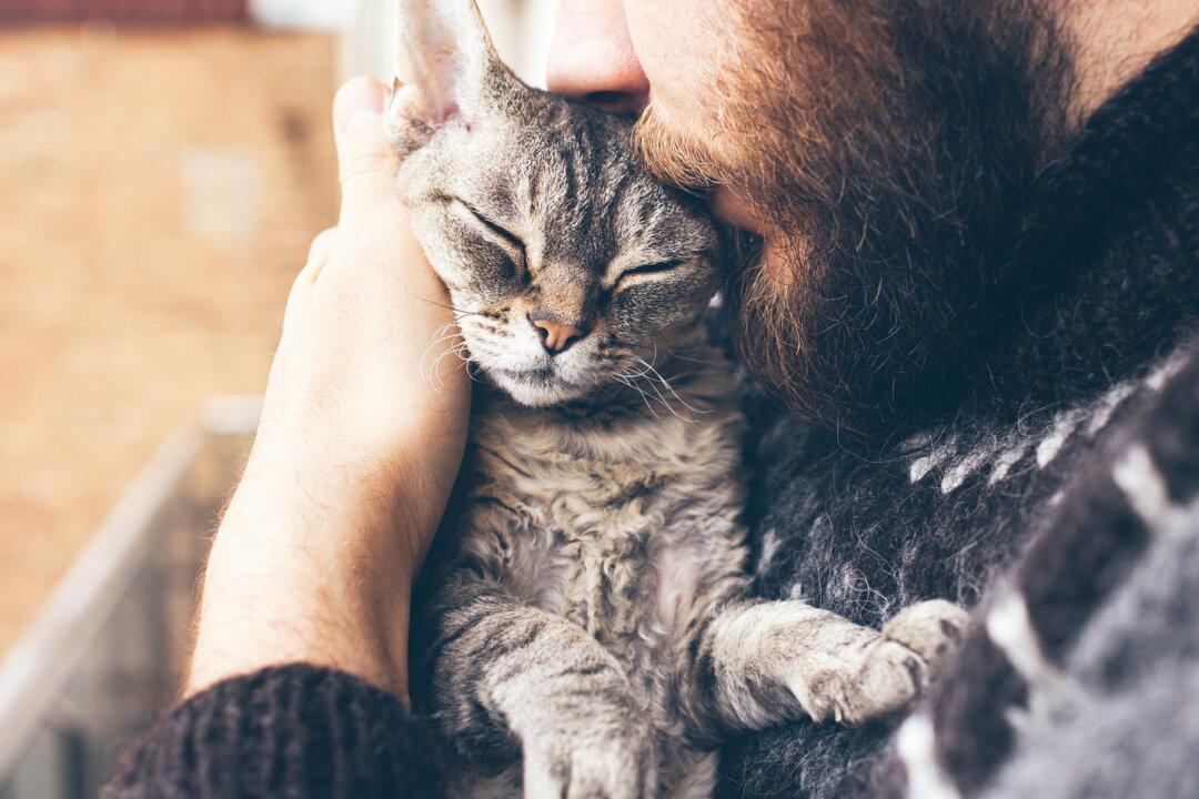 Abused Cats Find Home in Prison Program That Helps Inmates Learn to Show Love