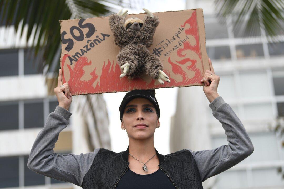 Macron, Celebrities Fact-Checked After Sharing Fake Viral Photos of Amazon Fire