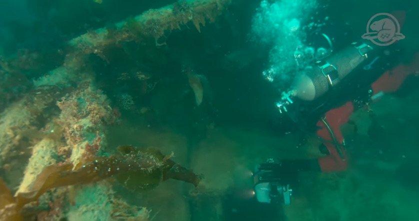 ‘Frozen in Time’: Parks Canada Releases First Images of Arctic Shipwreck HMS Terror
