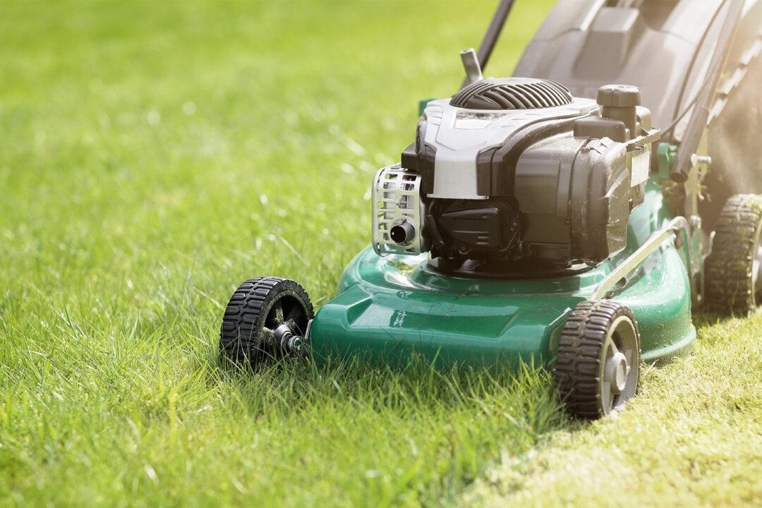 Woman Confronts a Stranger Mowing Her Lawn–Then He Says a Few Words That Leave Her in Tears