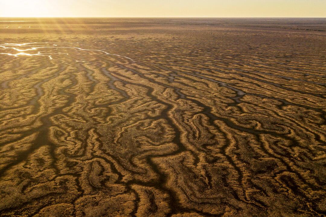 The Air Above Antarctica Is Suddenly Getting Warmer—Here’s What It Means for Australia