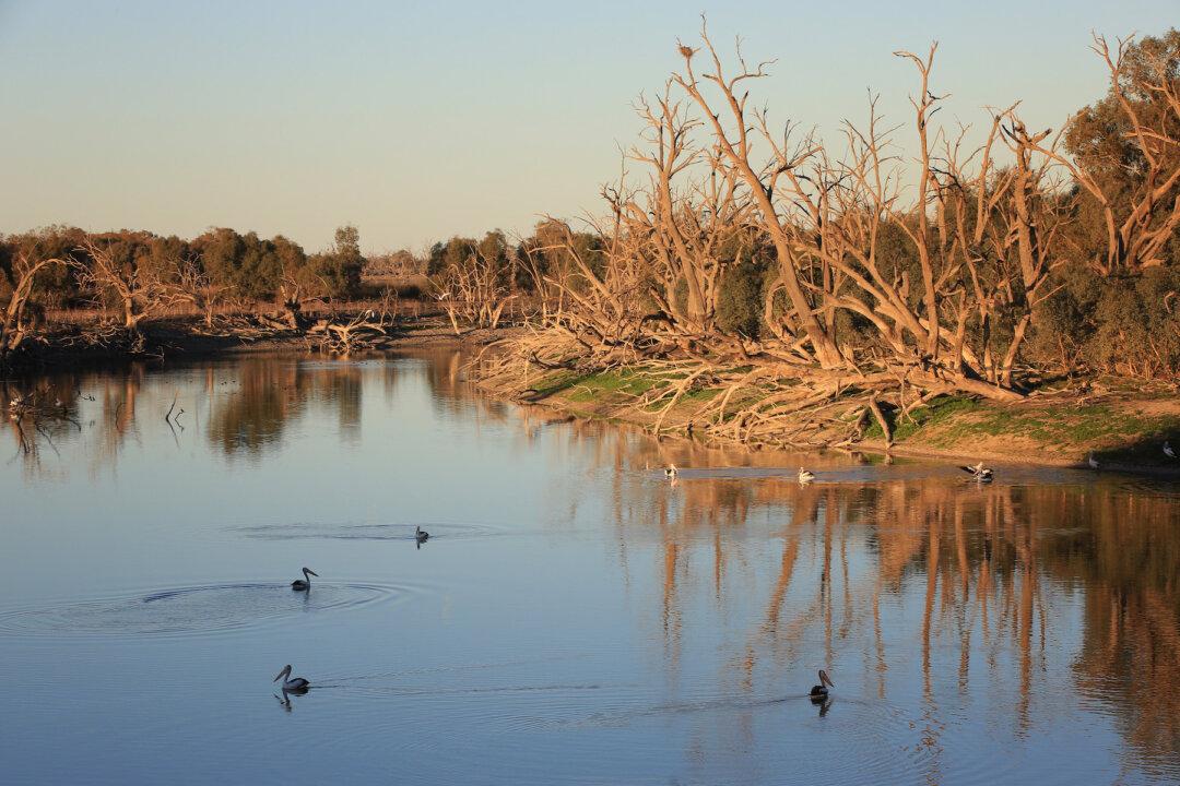 Murray-Darling Basin Authority to Be Overhauled