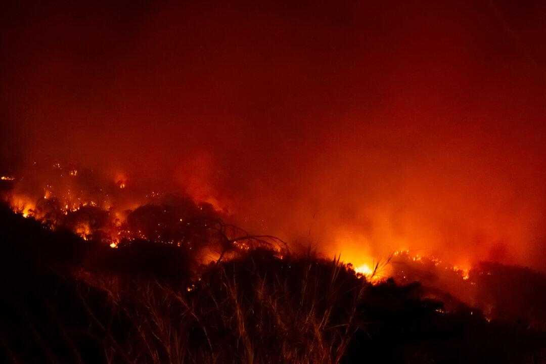 Woman Pedals Through Raging Wildfire to Save 70lb Dog: He Rode on the Handlebars!