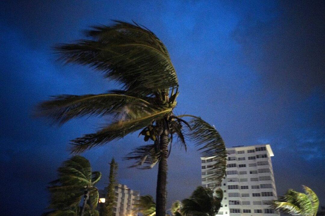 7-Year-Old Boy Becomes First Fatality of Hurricane Dorian: Report