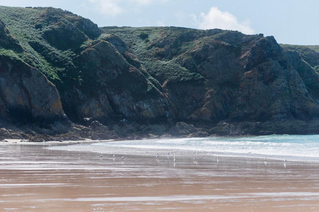 Family Traditions: Tea at Low Tide