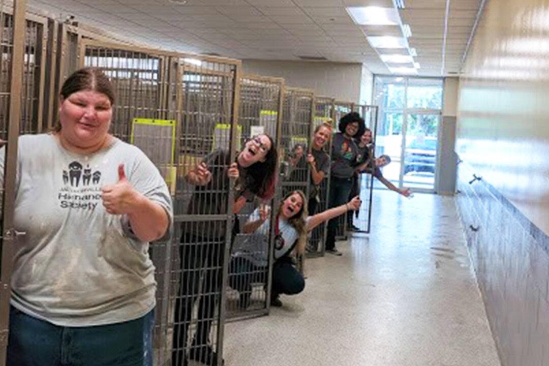 Florida Residents Foster 210 Animals at Shelter As Hurricane Dorian Approaches