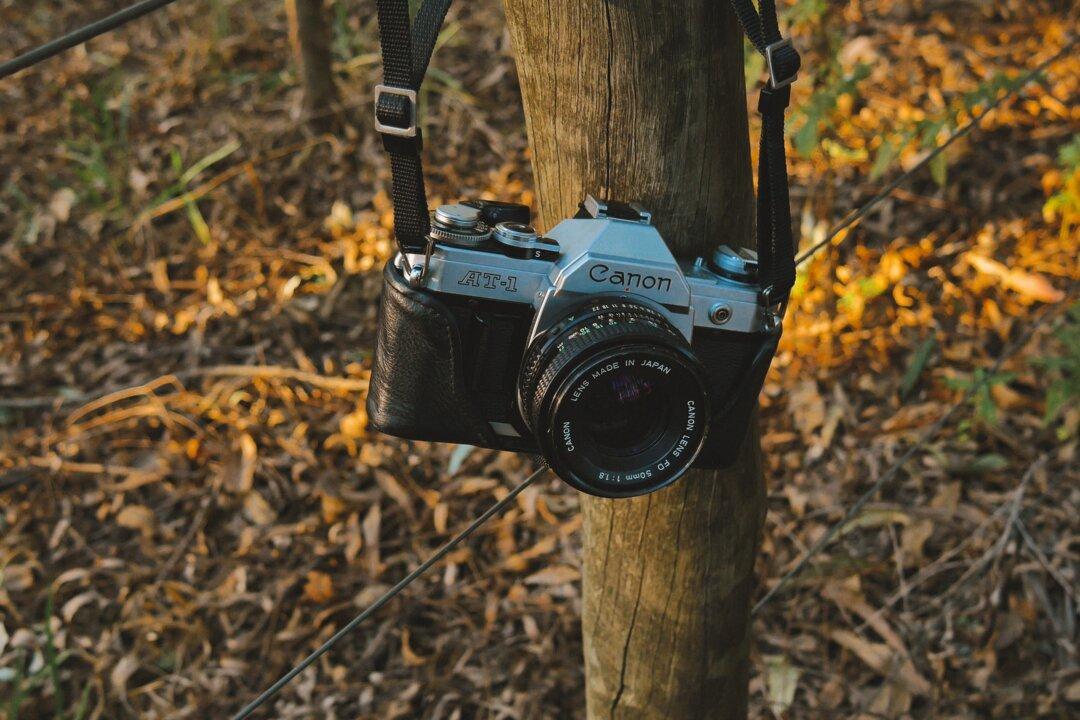 Ohio Authorities Mull Possible Homicide After Woman Killed by Falling Branch