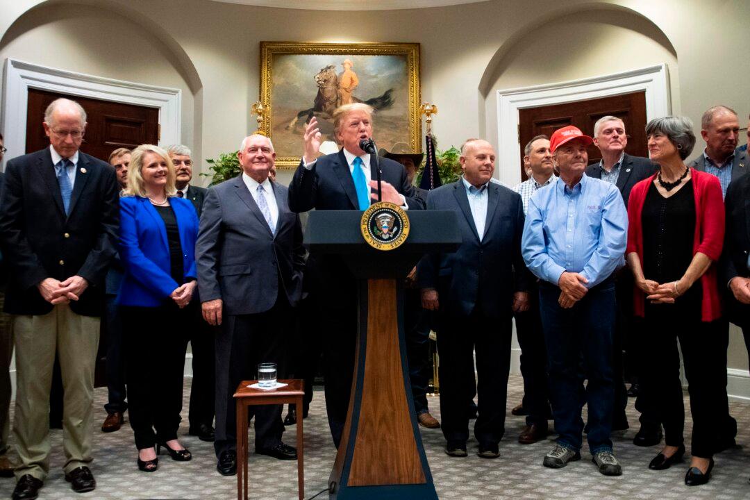 US Farm Profits Hit 5-Year High on China Trade War Payments