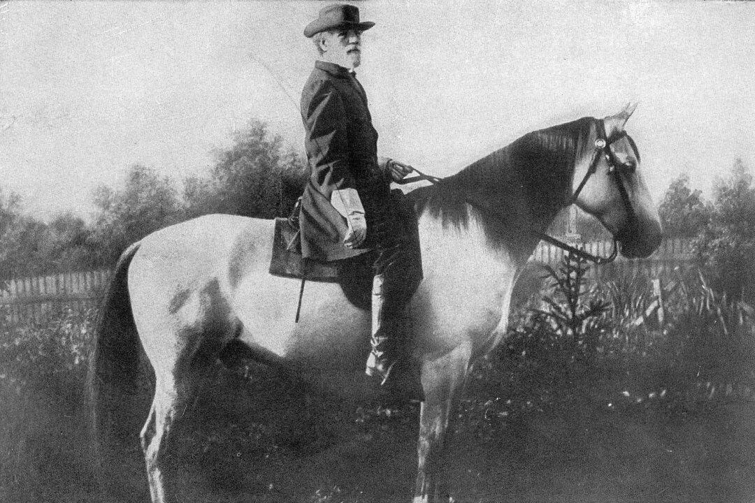 Mothers and Sons: Ann Carter Lee and Robert E. Lee