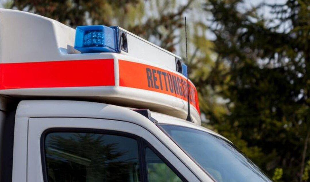 South Carolina Mom Suffers Critical Injuries After She’s Mauled by Dogs