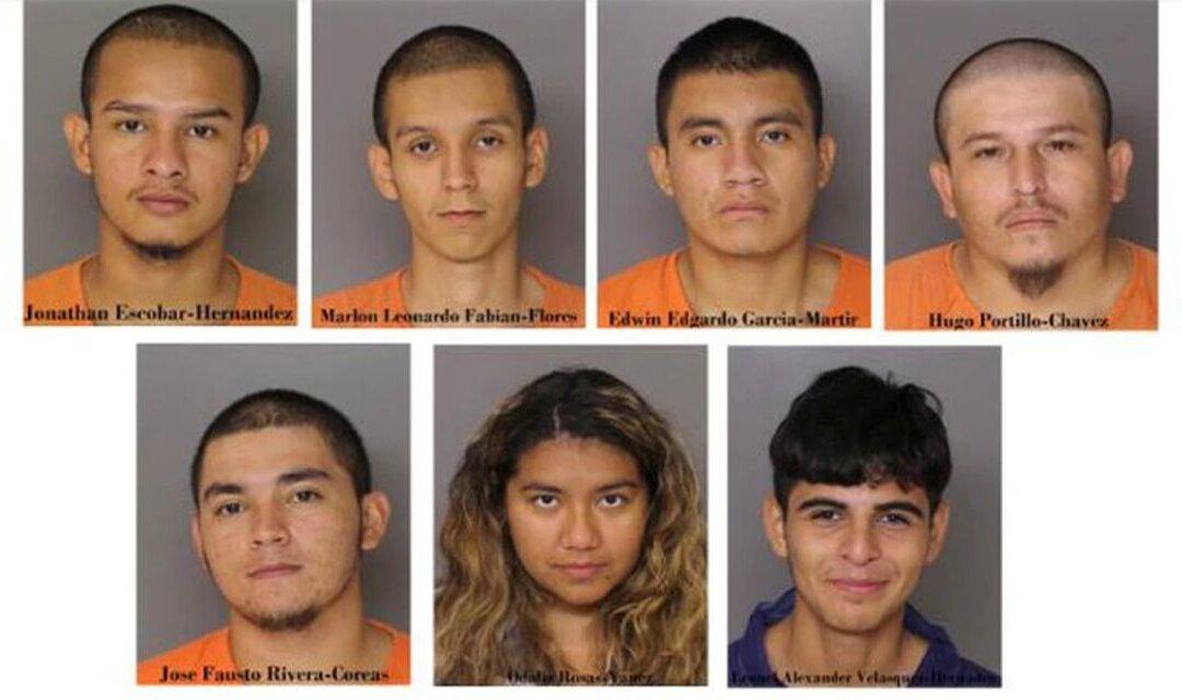 ICE: 6 MS-13 Gang Members, Illegal Immigrants Involved in Fatal Stabbing