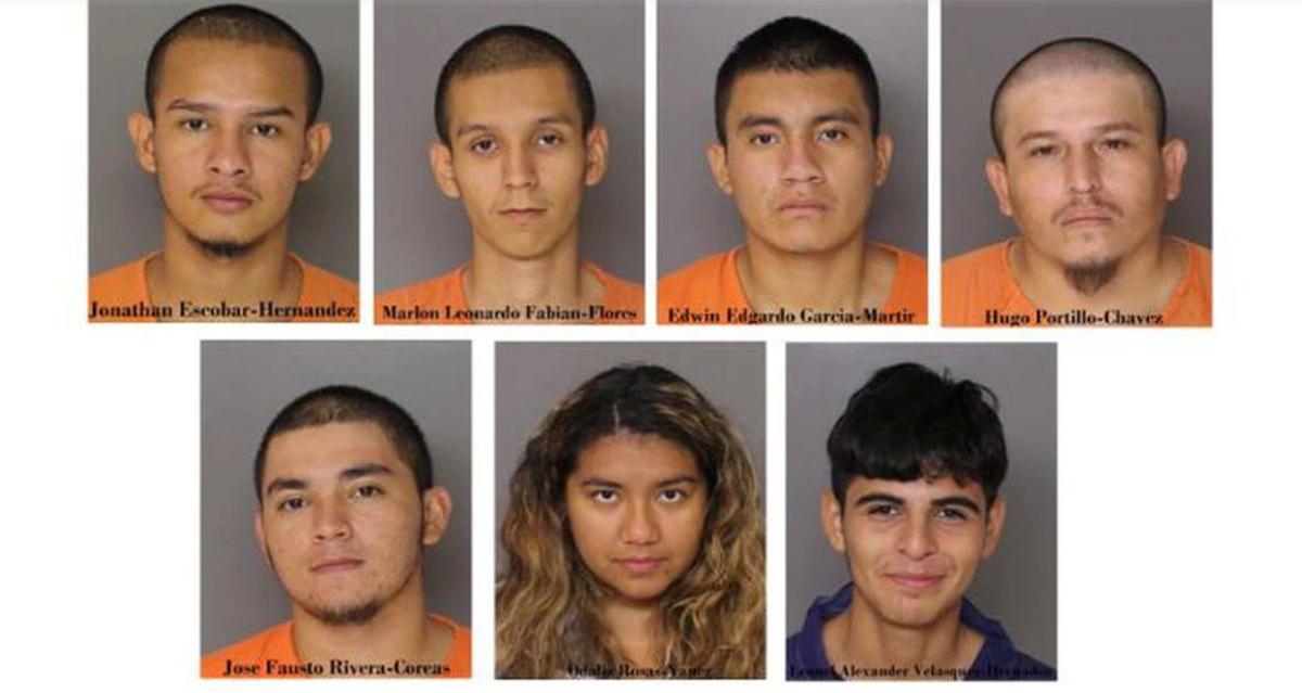 ICE: 6 MS-13 Gang Members, Illegal Immigrants Involved in Fatal Stabbing