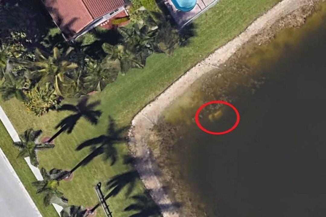 Remains of Florida Man Missing for 20 Years Reportedly Found on Google Earth